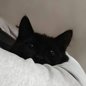 Meet your Posher, Sofia